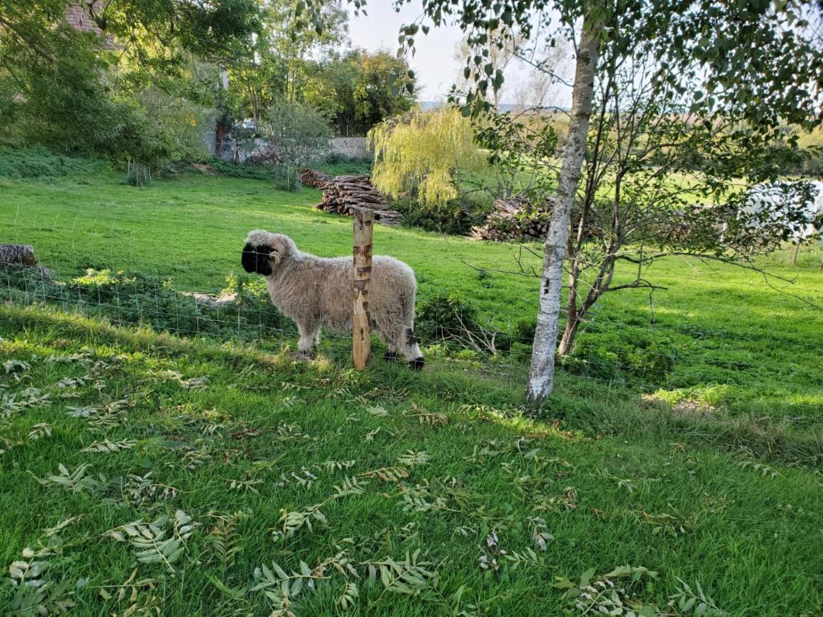 Domaine Des Maillets Bed & Breakfast Blot-l'Eglise ภายนอก รูปภาพ